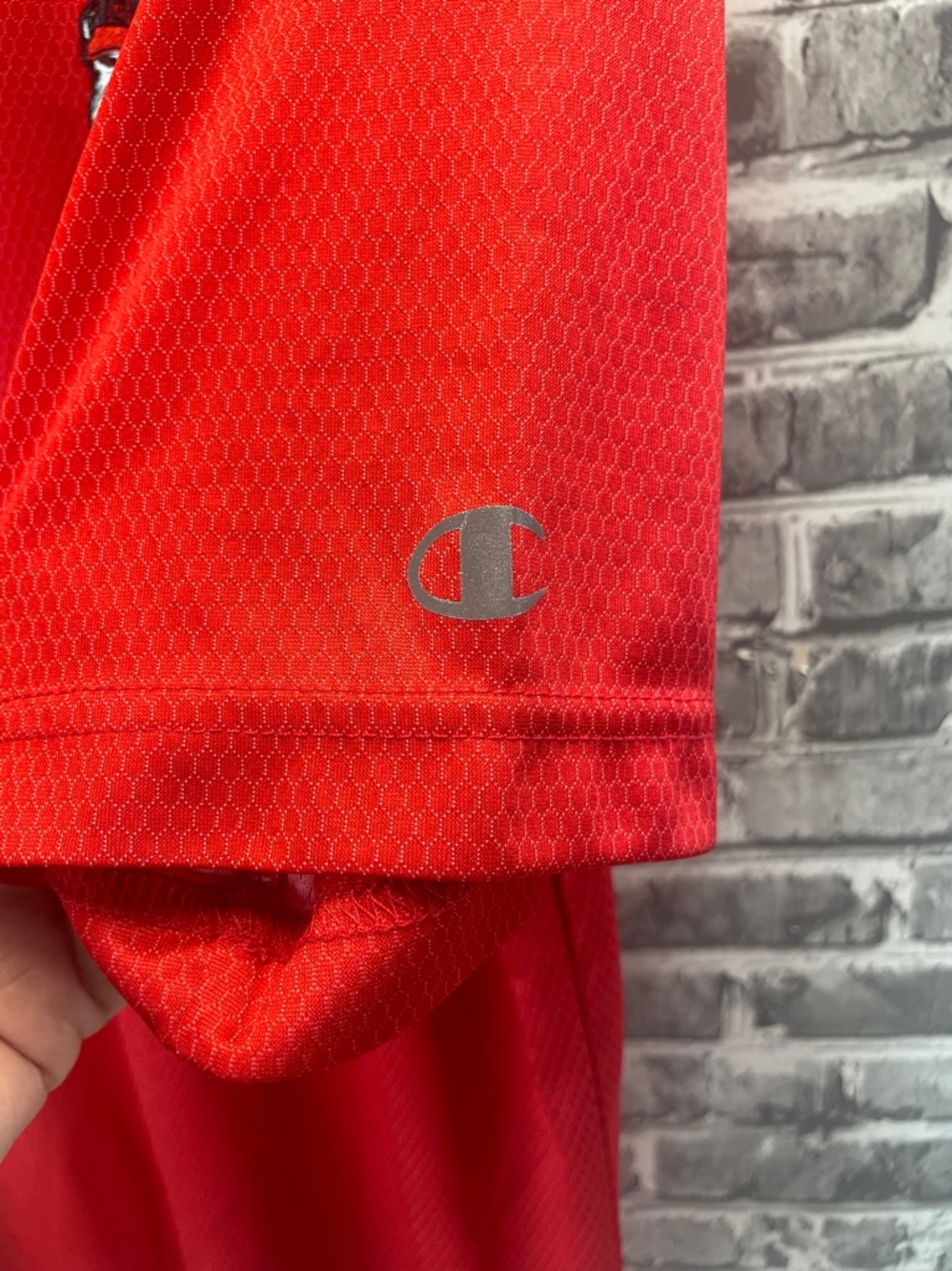 Georgia Bulldogs 
Champion Red Men's Polo with Embroidered‎ Mascot - Picture 5 of 7